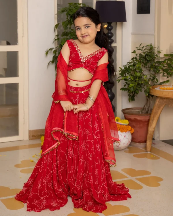 Kiara Red Bandhani Georgette Lehenga Set