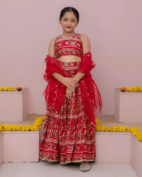 Nashra Red Printed Chanderi Lehenga Set